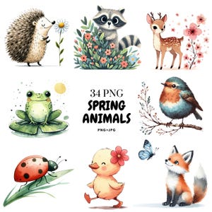 Watercolor Spring Animal Clipart: Bunny, Lamb, Duck (PNG Digital Download)