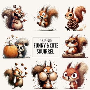 May include: A collection of cartoon squirrel illustrations in various poses. The squirrels are depicted with expressive faces and fluffy tails, some with sunglasses or on a skateboard. The image includes the text "43 PNG FUNNY & CUTE SQUIRREL".