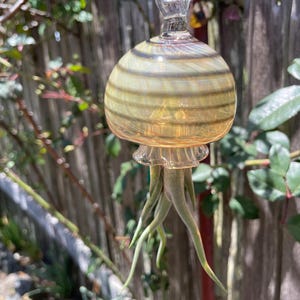 Hand Blown Glass Jellyfish airplant hanger.