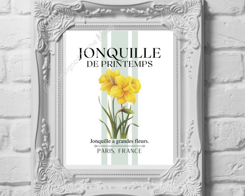 Daffodil Botanical French Country Farmhouse Digital Print Etsy