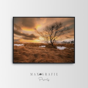 Poster di paesaggio islandese | Fotografia naturalistica al tramonto | Albero in un campo invernale | Stampa artistica nordica in formato orizzontale | Senza cornice