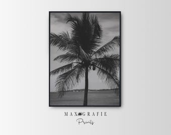 Puede incluir: Impresión enmarcada en blanco y negro de una palmera frente a un paisaje marino. La imagen tiene una estética minimalista. La impresión está etiquetada con el texto "MAX GRAFIE Prints" en la parte inferior.
