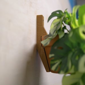 Könnte beinhalten: Wandhalterung aus Holz für Pflanzen mit einem Terrakottatopf, der eine grüne Pflanze mit bunten Blättern enthält. Der Halter ist aus hellbraunem Holz gefertigt und an einer hellen Wand befestigt.