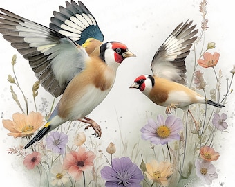 Op de afbeelding: Waterverfillustratie van twee distelvinken in vlucht, met uitgespreide vleugels, met rode, witte en zwarte markeringen. Ze zijn omgeven door kleurrijke wilde bloemen in roze, paarse en gele tinten, tegen een witte achtergrond.