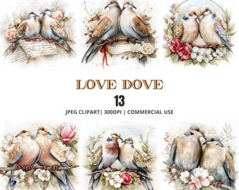 Op de afbeelding: Een verzameling aquarel illustraties met paren duiven op takken met bloemaccenten. De afbeeldingen hebben een zachte, romantische uitstraling, met de tekst "LOVE DOVE 13" en "JPEG CLIPART | 300DPI | COMMERCIAL USE".