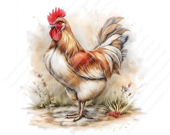 Akvarell kyckling clipart, 12 JPEG-bilder, Bild av gårdskyckling, Söta blommor, Jordbruks clipart, Papperspyssel, Digital nedladdning, Kommersiellt bruk