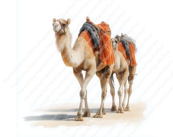 Paquete de imágenes prediseñadas de camellos del desierto (23 JPEG), ilustraciones de animales del desierto, dunas y palmeras, paisajes del desierto, manualidades en papel, descarga digital, uso comercial.