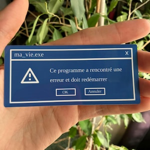 May include: A blue rectangle with white text and a white warning symbol. The text reads "ma_vie.exe" at the top, and "Ce programme a rencontré une erreur et doit redémarrer" in the center. Below are "OK" and "Annuler" buttons.