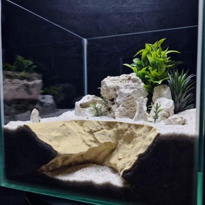 May include: A clear glass terrarium with a sandy substrate, white rocks, and artificial plants. A tan rock formation is in the foreground, and the background is dark. The terrarium is designed for small reptiles or amphibians.