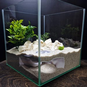 May include: A square glass terrarium filled with light beige sand, featuring a white burrow structure embedded within the sand layers. The surface is decorated with white jagged rocks, a bright green artificial plant, and a small patch of moss.