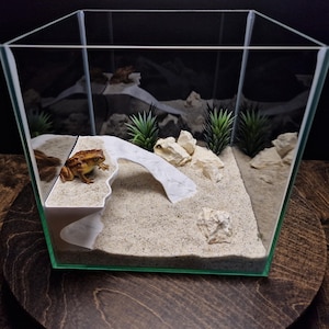 3D Printed Aquarium Cave Hide | Realistic Reptile Terrarium Shelter, Natural Aquascape Den