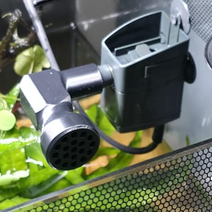 May include: A dark gray aquarium water filter pump with a rectangular housing and a cylindrical intake nozzle featuring a grid of small circular holes. The device is mounted to the side of a glass tank with a suction cup and includes a black cord.