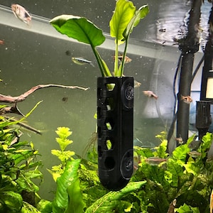May include: A black aquarium plant holder containing a plant, suspended in a fish tank. The holder has several openings and is attached to the glass with suction cups. Several fish and aquatic plants are visible.