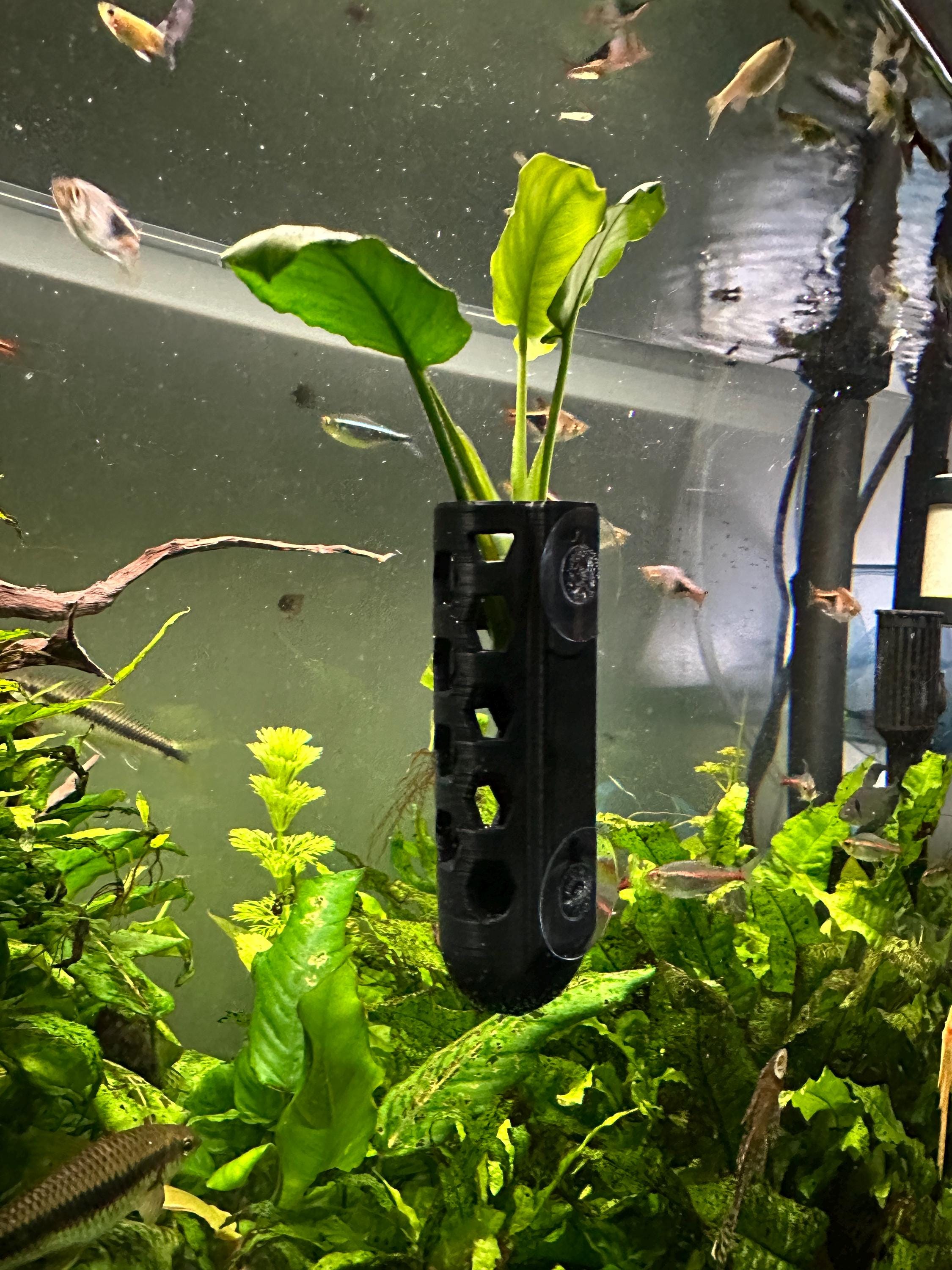 Aquarium plant pots - Etsy.de