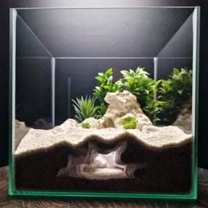 May include: A clear glass terrarium with a sand substrate, a rock formation, and green plants. The terrarium has a cave-like structure in the front. The overall design suggests a miniature habitat.