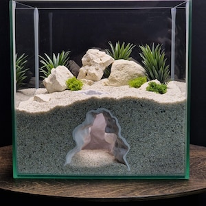 Puede incluir: Un pequeño terrario de vidrio transparente con un paisaje naturalista. Cuenta con un sustrato arenoso, rocas blancas, plantas verdes y una estructura similar a una cueva. Diseñado para pequeños reptiles o anfibios.