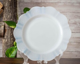 May include: A white plate with a scalloped edge and a light blue rim. The plate is displayed on a clear, decorative stand. The background features a wooden surface and a wooden log with green leaves.