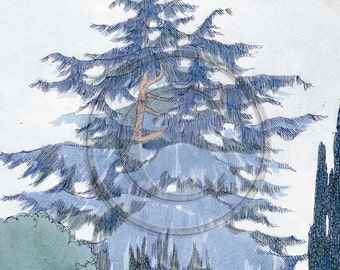 Larch, Tree, Evergreen, Vintage, 1920s, Art Print