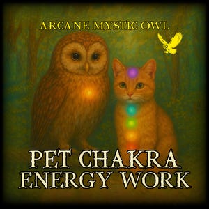 Pet Chakra Energy Work – Balance, Heal & Activate Your Pet’s Chakras