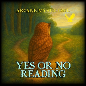 Yes or No Answer Reading – Ask One Question