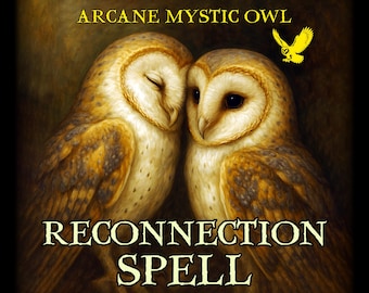 May include: An illustration featuring two owls with golden-brown feathers, set against a dark background. The text "ARCANE MYSTIC OWL" and "RECONNECTION SPELL" are displayed in gold lettering. A yellow owl graphic is also present.