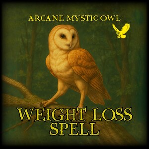 Peut inclure: Illustration d'un hibou beige perché sur une branche, avec les mots "Arcane Mystic Owl" et "Weight Loss Spell" en lettres dorées. Un petit hibou jaune vole en arrière-plan sur une forêt verte.