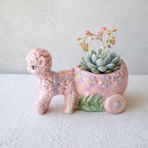May include: A ceramic planter shaped like a pink lamb pulling a cart. The cart features a painted floral pattern in blue and yellow, with green foliage at the base. A small succulent plant with light green leaves and pink-tipped stems sits inside.