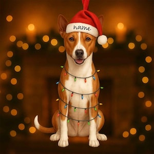 May include: A Basenji dog wearing a red Santa hat with the word "name" and a string of colorful Christmas lights. The dog is sitting in front of a blurred background of warm lights, creating a festive holiday scene.
