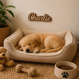 Pu&ograve; includere: Una cuccia rettangolare per animali color beige con un morbido rivestimento interno color crema. Un cucciolo dorato dorme all'interno. Sopra la cuccia, una targa da parete in legno mostra il nome Charlie in corsivo. Una ciotola beige con zampa.