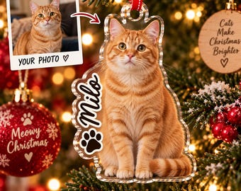 Personalized Cat Christmas Ornament, Custom Cat Ornament, Pet Memorial Keepsake, Personalized Pet Gift, Cat Lover Christmas Gift