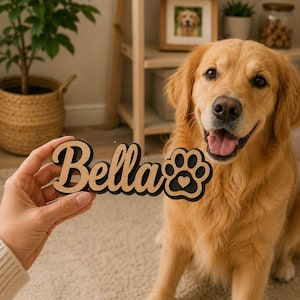 Personalized Dog Crate Sign, Custom Wooden Dog Name Tag, Dog Feeding Station Sign, Dog Room Decor, Dog Lover Gift immagine 1