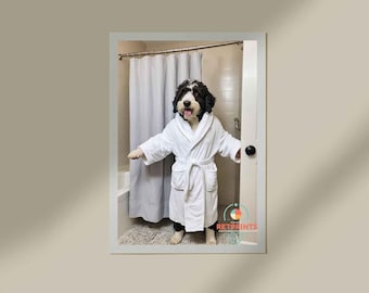 May include: A black and white dog wearing a white bathrobe stands in a bathroom. The dog is in a framed image, with a shower curtain and door visible. The dog's tongue is visible, and it appears to be smiling.