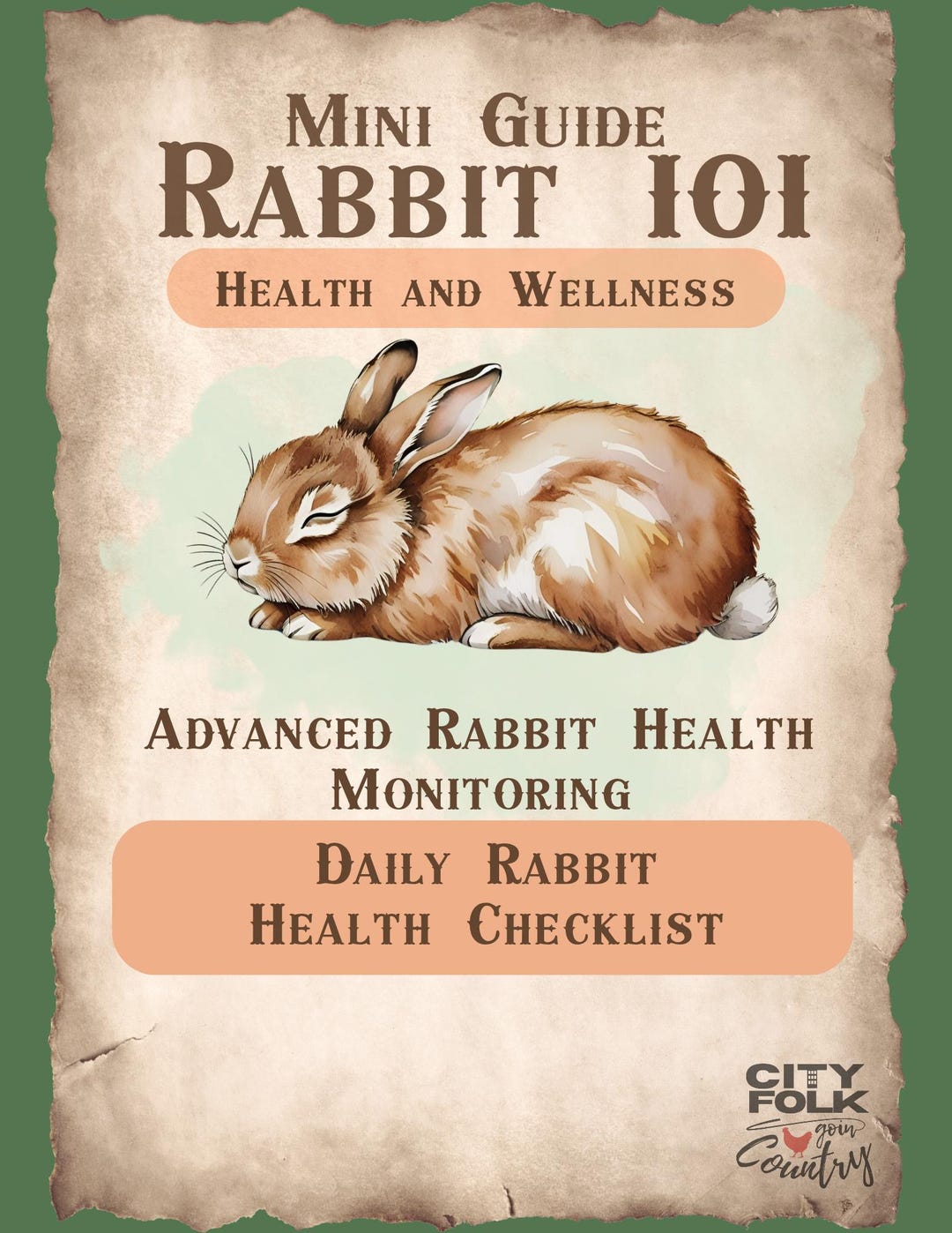 Rabbit Health Check List: Daily Wellness Tracker (PDF) - Etsy UK
