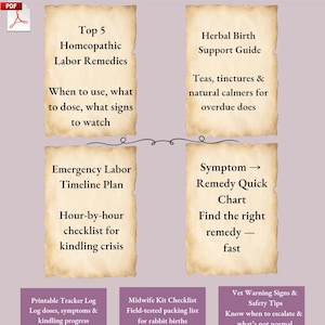 Rabbit Homeopathy Quick Reference Chart: Natural First Aid (PDF) - Etsy