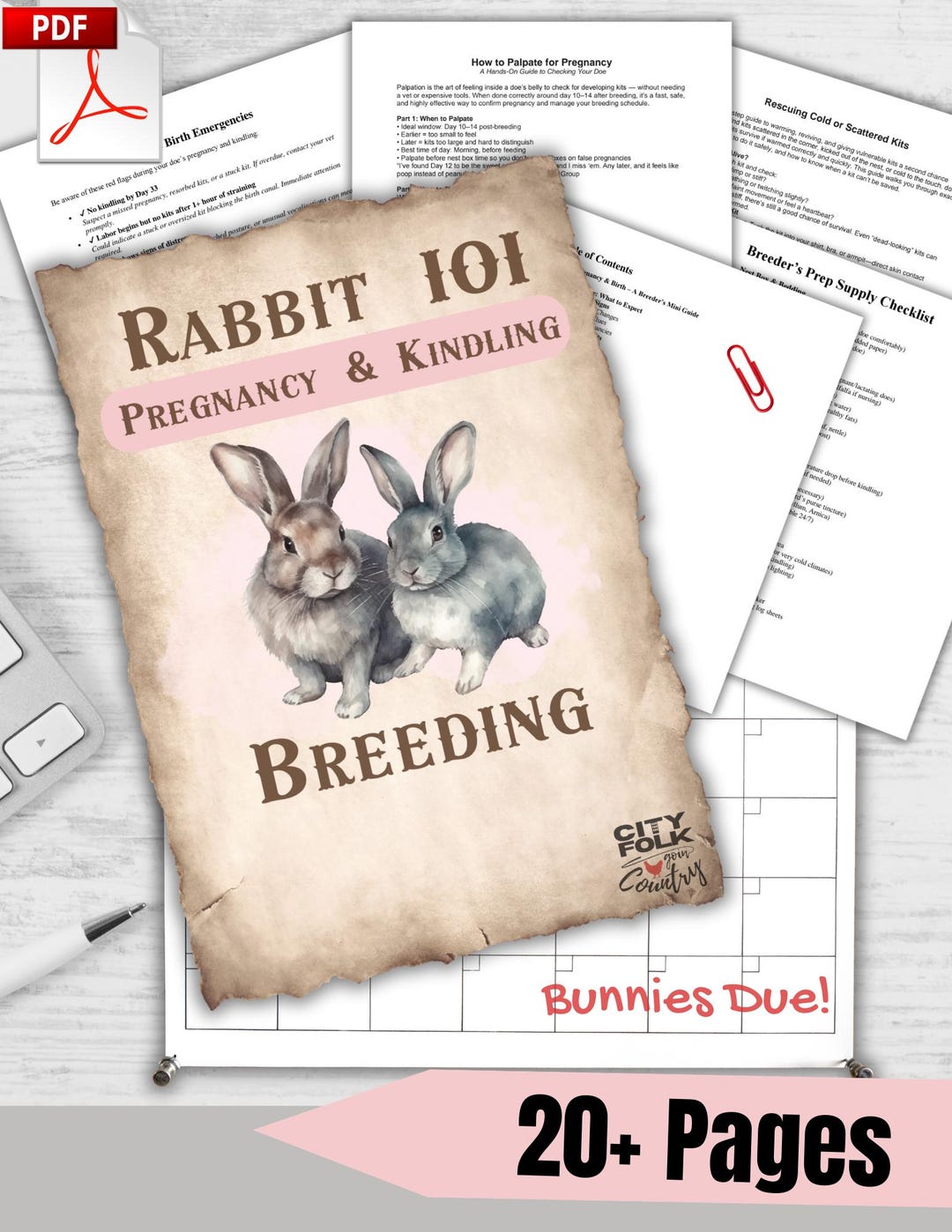 Rabbit Breeding & Kindling Guide: Newborn Kit Care Checklist (PDF ...