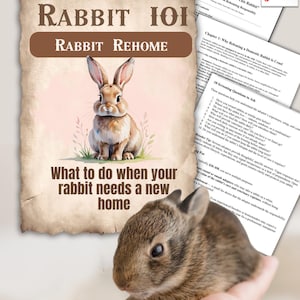 May include: A book cover titled "Rabbit 101 Rabbit Rehome" with a watercolor illustration of a rabbit. A small brown rabbit is held in a hand. Accompanying documents are visible, including a PDF titled "Oops, I Don't Want This Rabbit".