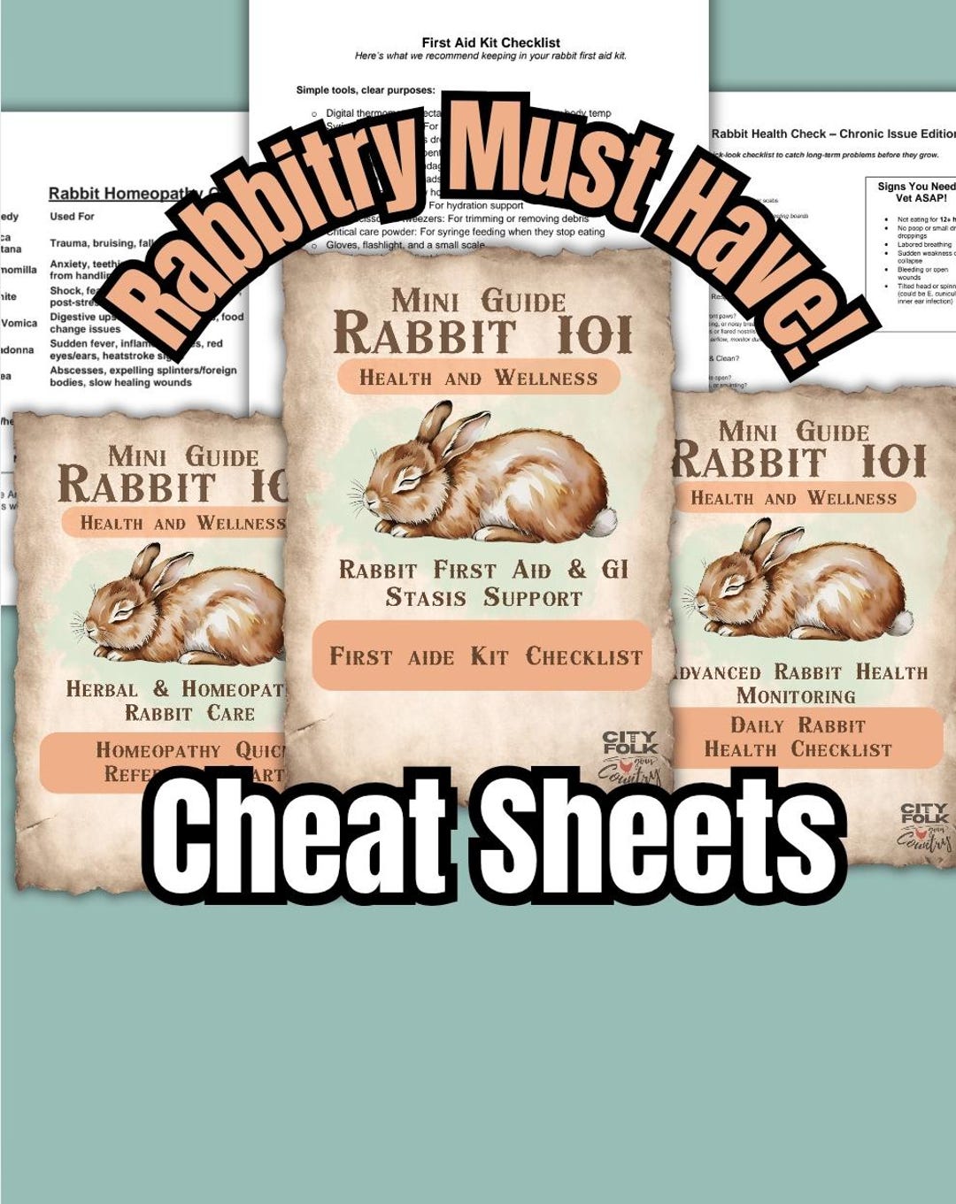Rabbit Health Guide: First Aid & Homeopathy Reference Sheets (PDF) - Etsy