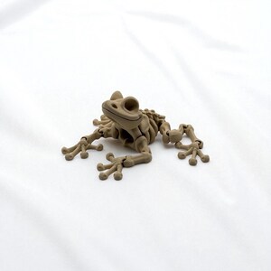 Könnte beinhalten: Eine hellbraune Frosch-Skelett-Figur. Das detaillierte Modell zeigt die Skelettstruktur eines Frosches, einschließlich Schädel, Wirbelsäule, Rippen und Gliedmaßen. Die Figur ist so positioniert, als würde sie auf einer weißen Oberfläche sitzen. Geeignet für Bildungszwecke oder als Dekoration.