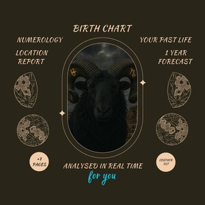 Pacote Completo de Astrologia | Mapa Natal + Previsão de 1 Ano + Vidas Passadas + Astrocartografia