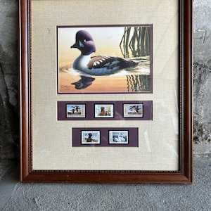 以下が含まれることがあります： 茶色の木製の額縁に入った、ブッフェルヘッド・ダックのプリント。プリントは、さまざまな鳥を描いた5つの小さな切手によって囲まれています。切手には州の名前が書かれています。