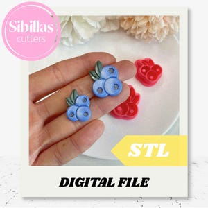 May include: Blueberry-shaped earrings and a red berry cutter. The earrings have green leaves. The image includes the text "Sibillas cutters", "STL", and "DIGITAL FILE".