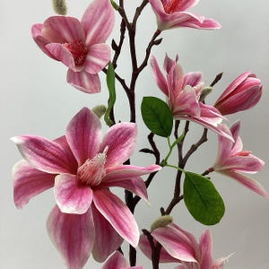 Spray de magnolia - 2 colores: fucsia y rosa