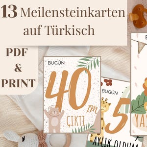 Cartes turques pour les étapes de la naissance d'un bébé, style bohème - Cartes pour les étapes de la naissance - Téléchargement numérique - 13 cartes imprimables