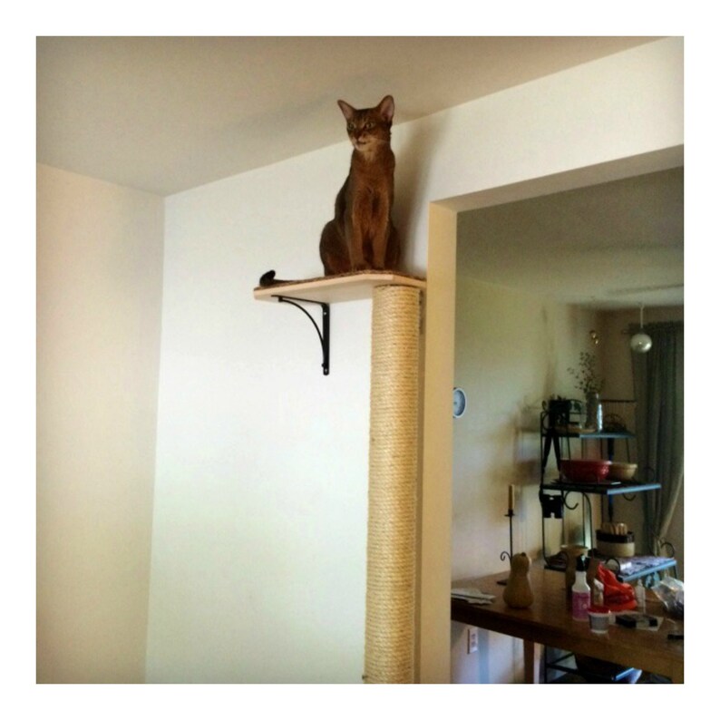 Cat Tree Climbing Pole With Sisal Rope Wall Mounted Scratching Post Multiple Sizes Optional Shelf
