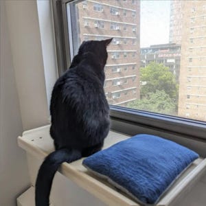 Window Perch for Cats or Plants - Solid Maple - No Tools Installation