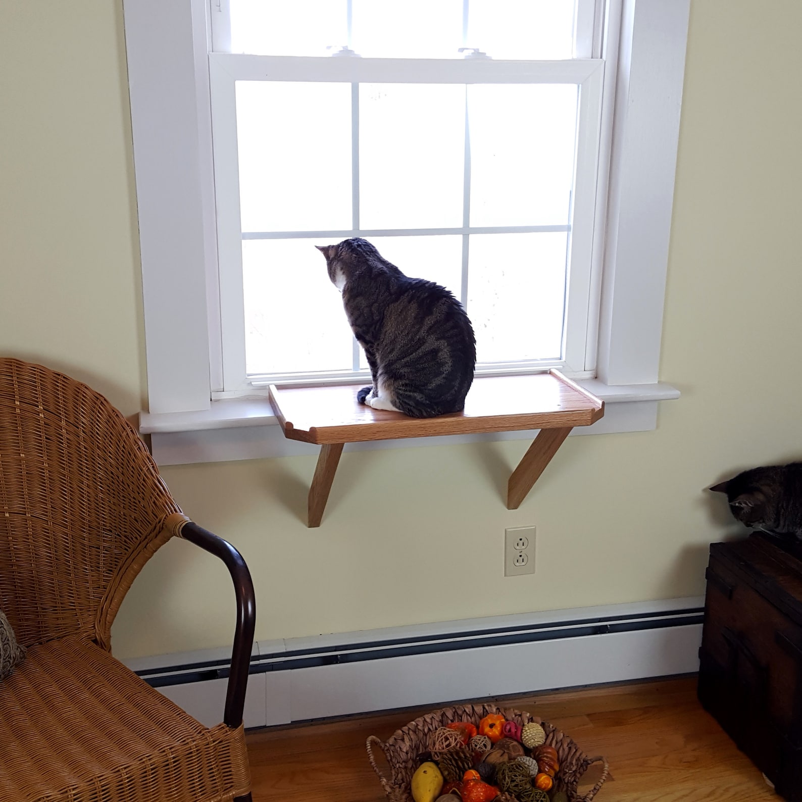 Perca de la ventana del gato estante del gato cama del Etsy