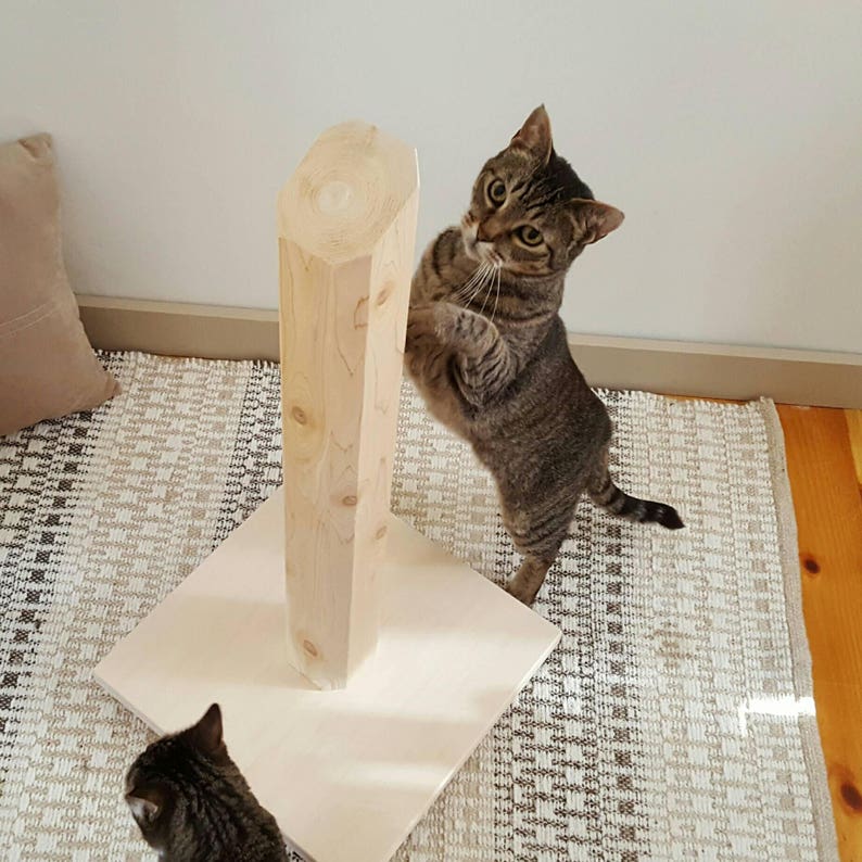 Wood Cat Scratching Post Cedar Scratching Post Etsy