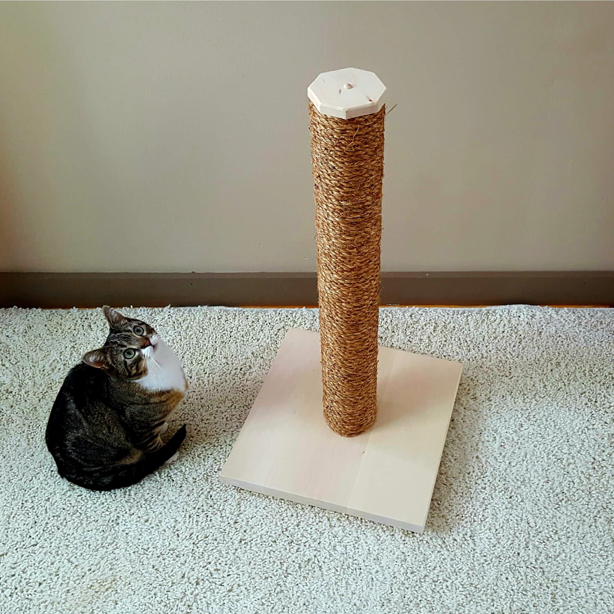etsy cat scratching post
