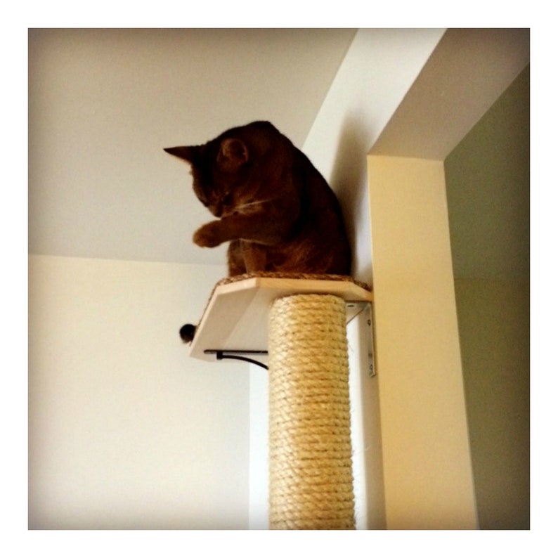 sisal rope cat scratching post