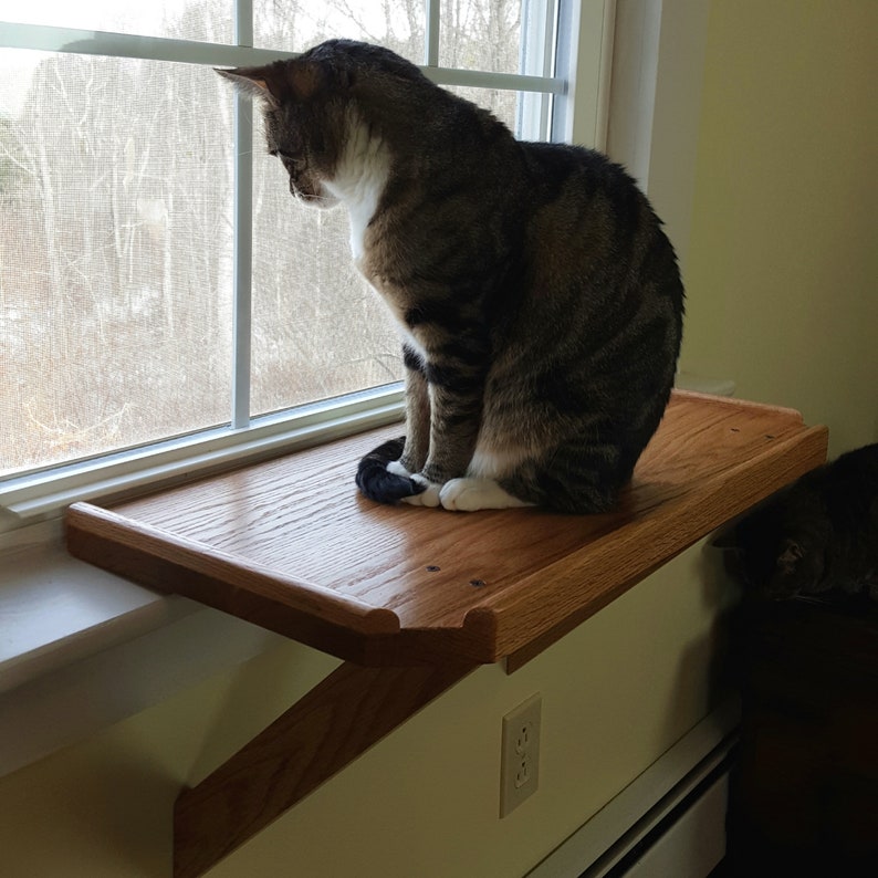Cat Window Perch Cat Window Sill Shelf Cat Bed No Tools Etsy